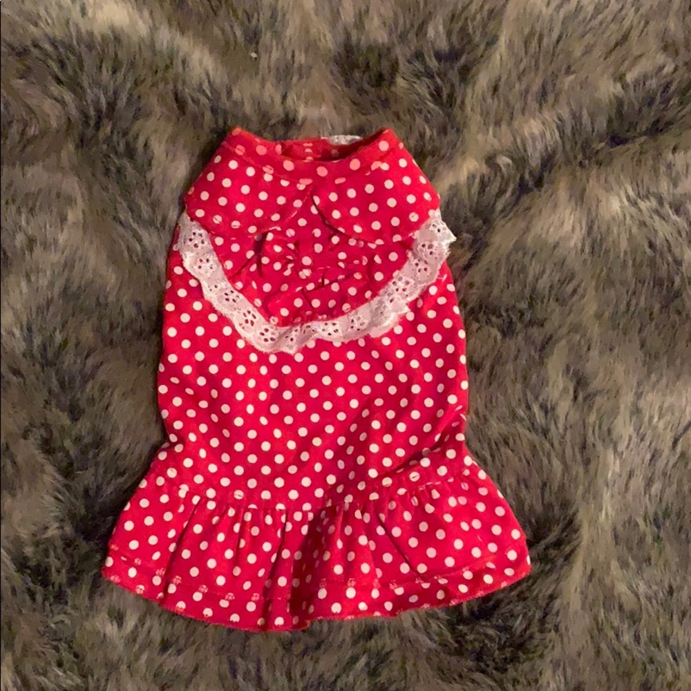 Pet dress